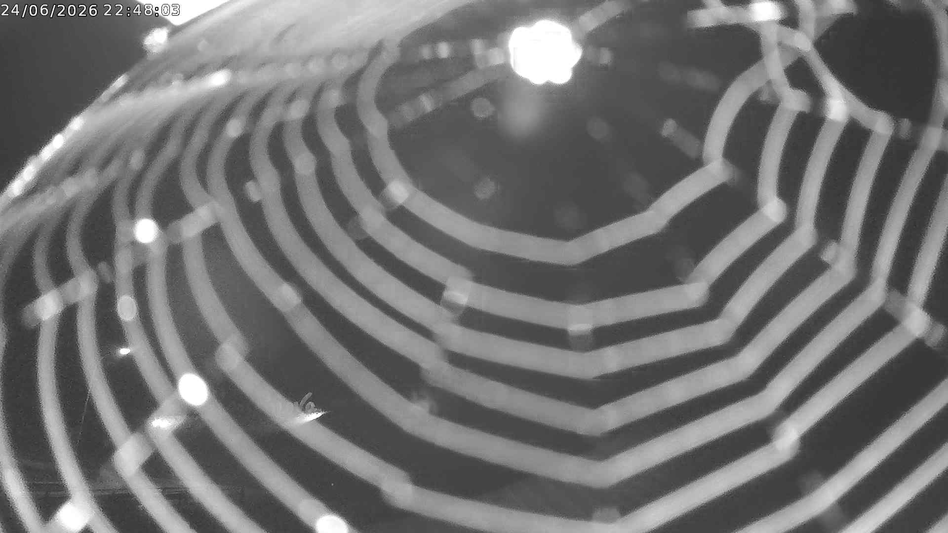 Livecam Sassalbo - ecomunicare